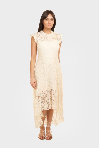 FLORA LACE DRESS – Amita Naithani