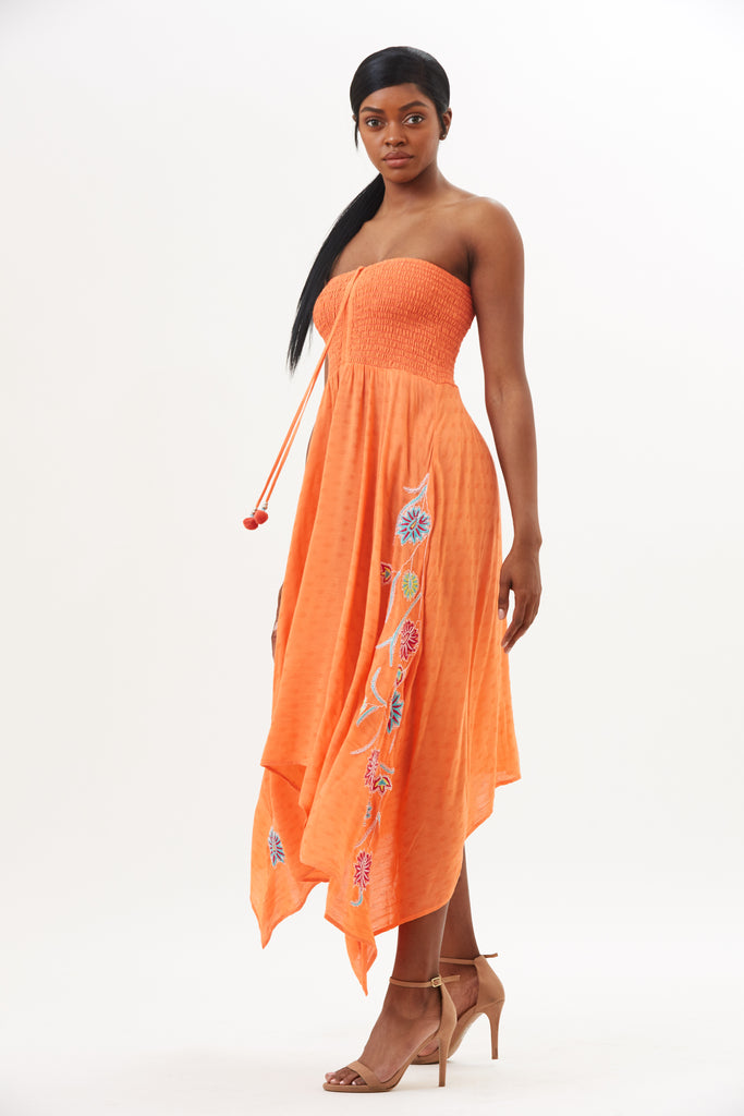 Sitara Floral Embroidery Dress